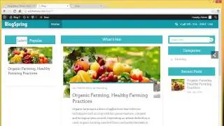BlogSpring WordPress Theme Demo