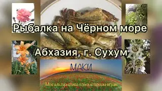 Рыбалка на пирсе в г. Сухум