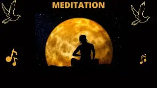 Som para Relaxar e Meditar com Imagem