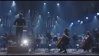 Introducing MSO.LIVE