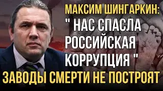 Заводы смерти не построят. «Нас спасла российская коррупция»