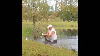 Saving a puppy from the teeth’s of small alligator