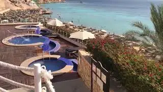 Reef Oasis Beach Resort & Sentido Reef Oasis 01.12.2021