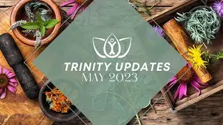 Trinity School Update - May 2023