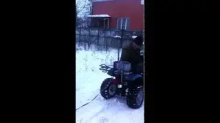 Зима в Краснодаре