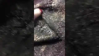 Фактуры в войлоке 1