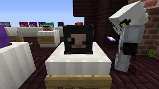 The coolest and most cursed skyblock museum