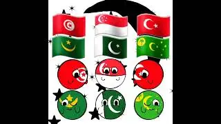Different types of flags