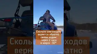 Снегоходы Irbis в -30 градусов! Едут?! 