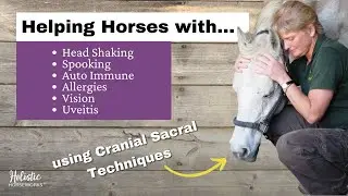 Helping Horses with Head Shaking, Spooking, Auto Immune, & Allergies Cranial Sacral - April Love