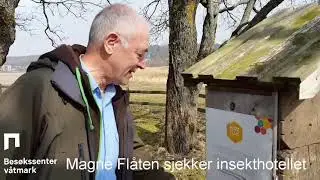 Magne Flåten sjekker insekthotellet