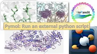 How to run a Python script in Pymol