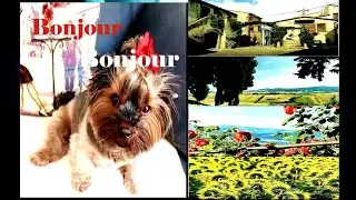 Bonjour