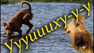 Уууииихууу Тоша