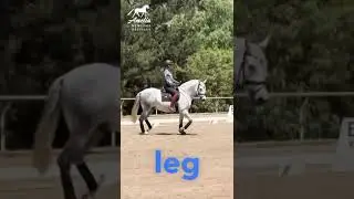Three Simple Steps to Round