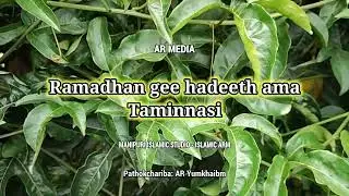 Ramadhan gee matangda lakpa hadeeth ama :: Taminnasi In Sha Allah