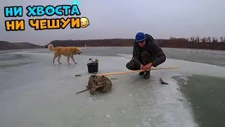 Такая хорошая зимняя рыбалка, что лучше б не ходил)