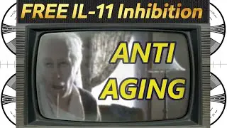 How IL-11 inhibition makes animals live 25% longer and how YOU can do it at home!