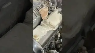 2115 за 60к купили для молодого опера! 1 хозяин 12 год без ДТП😎 Техника идеал💪🏻 #lada #лада #опер
