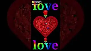 27 December 2021 Tim tok vido