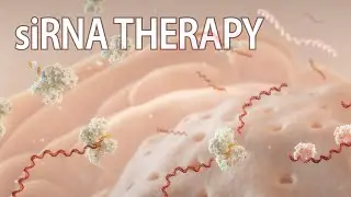 RNAi therapy animation | small interfering RNAs | 