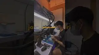 sukses dengan jalur sendiri #shorts #trendingshorts #teknisipemula