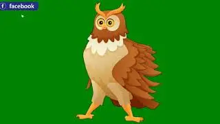 Talking owl |green screen cartoon |Green screen animation | green screen cartoon | bird green screen