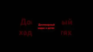 Достоверный хадис #хадис #религия #истина #islam