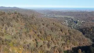 FOREST 4K | GREEN FOREST | RELAXATION GREEN FOREST 4K | NATURE | MOUNTAIN | Lerik Daglari