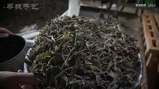 How the expensive and perfect tea is made-The proces of making Pu'er(Pu erh) Chinese traditonal tea