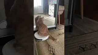 Покатушку