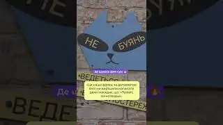 Де шукати ДНК Сум?