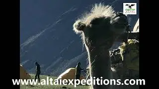 Altai trek
