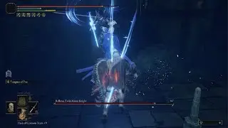 ELDEN RING Beating Rellana Twin Moon Knight solo