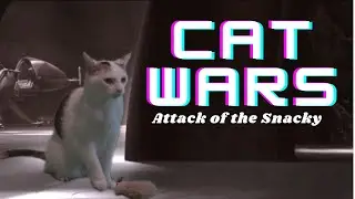 Cat Wars - Attack of the Snacky - Star Wars Parody