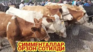 АНДИЖОН ШАХРИХОН ХОЛДАНБЕК МОЛ БОЗОРИ НАРХЛАРИ 2021 ANDIJON SHAXRIHON HOLDANBEK MOL BOZORI NARXLARI
