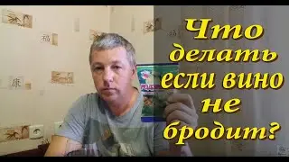 Что делать если вино не бродит? / Как запустить брожение вина!