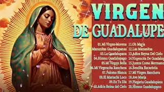 45 Cantos A La Virgen De Guadalupe🎶✨La Virgen De Guadalupe 2024