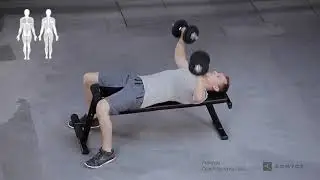 СКЛАДНАЯ АТЛЕТИЧЕСКАЯ СКАМЬЯ BA 100 DOMYOS