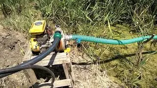 Капельный полив мотопомпой из водоема
