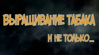 25.Семена табака