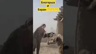 Блогерша и барашка 