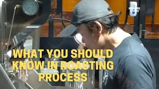 The Roasting Process: Everything You Need To Know