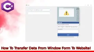 How To Transfer Data From Window Form To Website