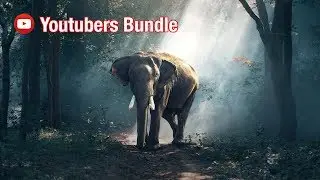 You Tubers Bundle