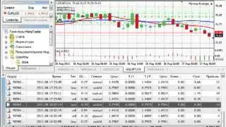 Заработай 100$ за три дня!!! Это реально!!!