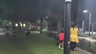 #Dubai Night View mankhool Park Bur Dubai  #short #shorts #youtubeshorts