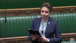 Carla Denyer MP questions Lord Walney's independence | UK Parliament | 10 Oct 2024 | Just Stop Oil