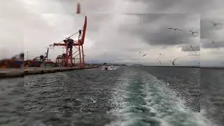istanbul,deniz ve martılar