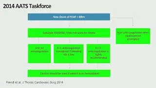 Practice Challenges in Thoracic Anesthesia Medstudylab.com